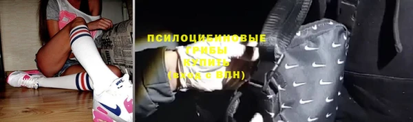 стаф Нея