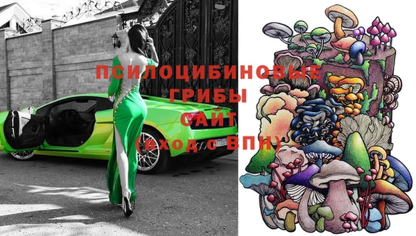 стаф Нея