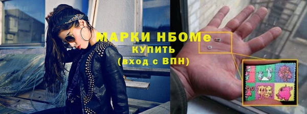 стаф Нея