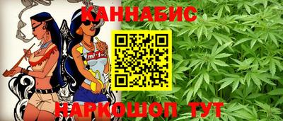 кокс Кингисепп