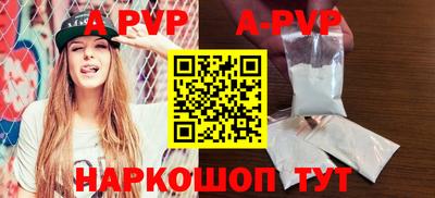кокс Кингисепп