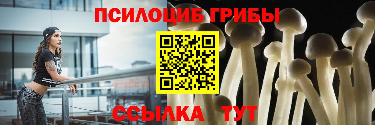 Галлюциногенные грибы Psilocybe Чусовой